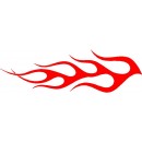 Flame 495